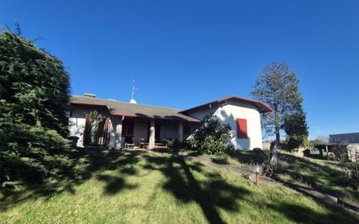 VILLA SINGOLA CON PARCO DI 3.000 MQ  BUSTO GAROLFO – FRAZIONE OLCELLA